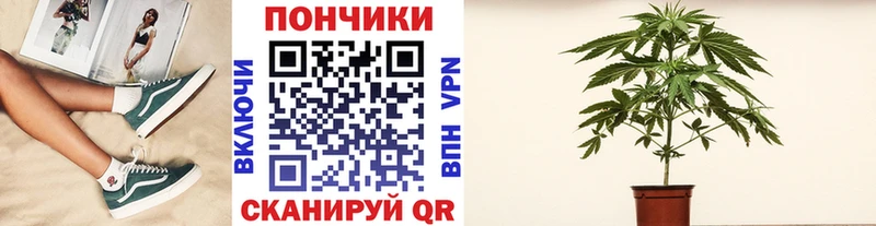 где найти Бакал Бошки Шишки индика